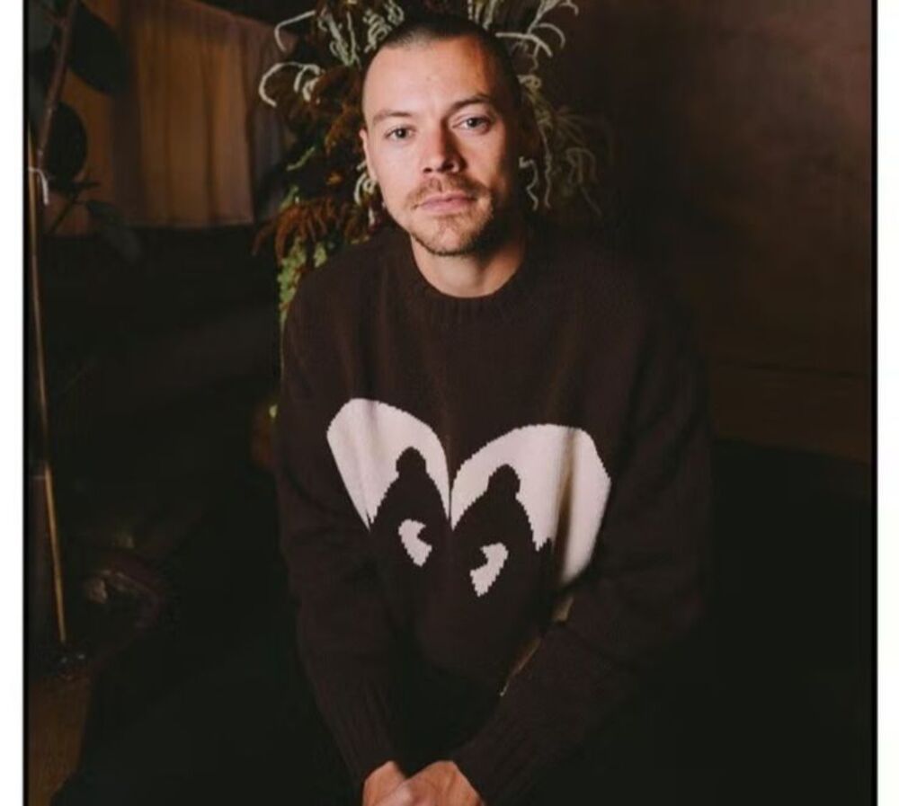 PLEASING Harry Styles Kissing Swans Sweater XL/XXL Brown Crew Neck Wool RARE